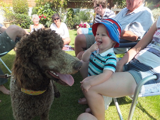 DSCF5830 (07-13-2013 15:41)