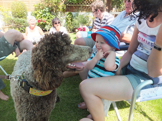 DSCF5831 (07-13-2013 15:41)