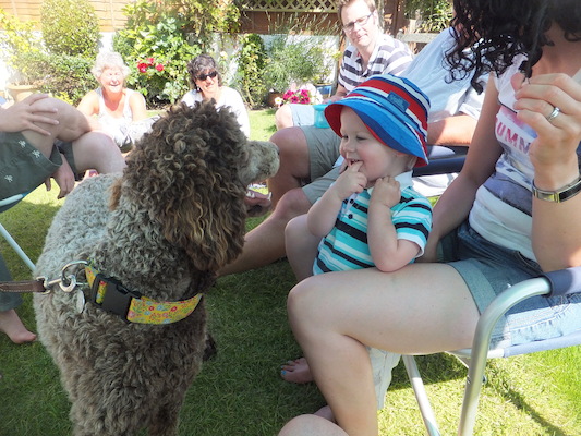 DSCF5832 (07-13-2013 15:41)