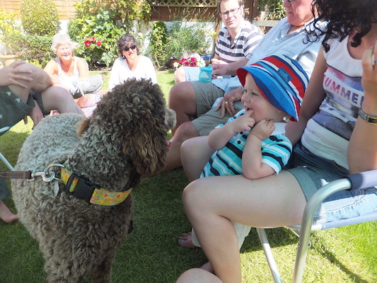 DSCF5833 (07-13-2013 15:41)