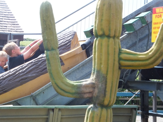 DSCF5868 (07-16-2013 11:00)