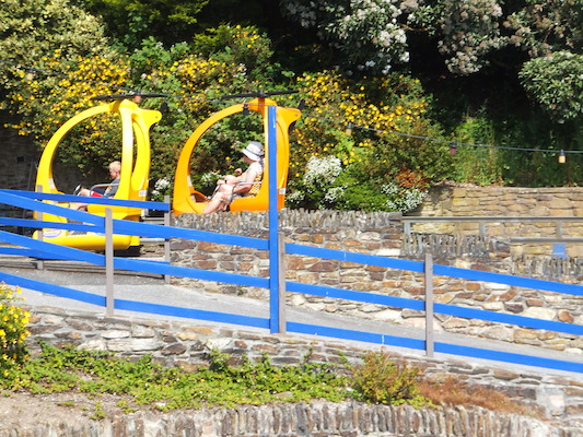 DSCF5871 (07-16-2013 11:10)