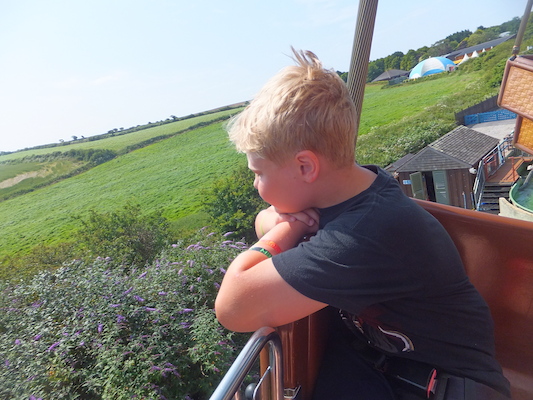 DSCF5873 (07-16-2013 11:20)