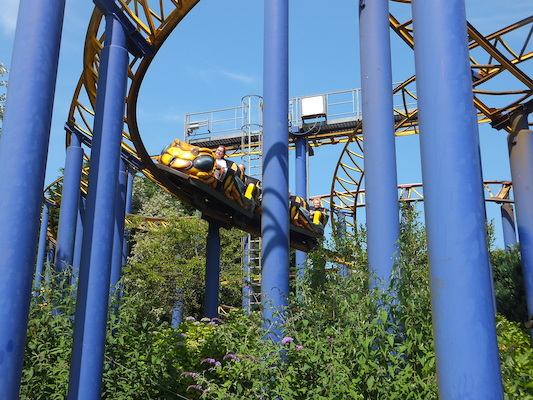 DSCF5879 (07-16-2013 11:30)