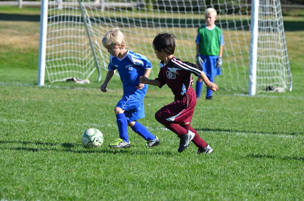 DSC_1133 (10-10-2013 09:56)