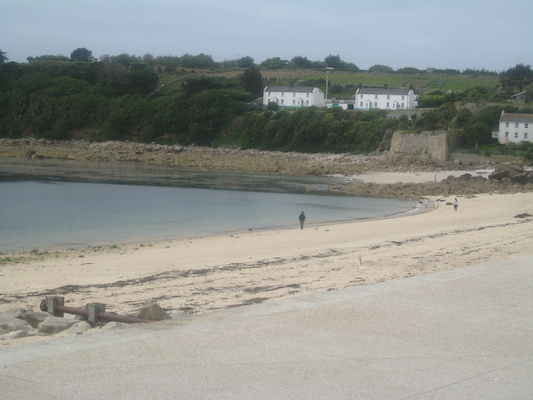 IMG_0021 (07-05-2013 06:56)