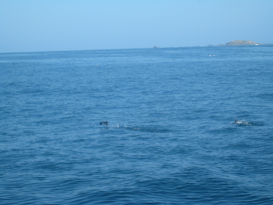 IMG_0024 (07-06-2013 05:40)