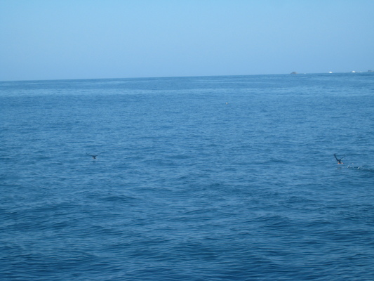 IMG_0025 (07-06-2013 05:40)