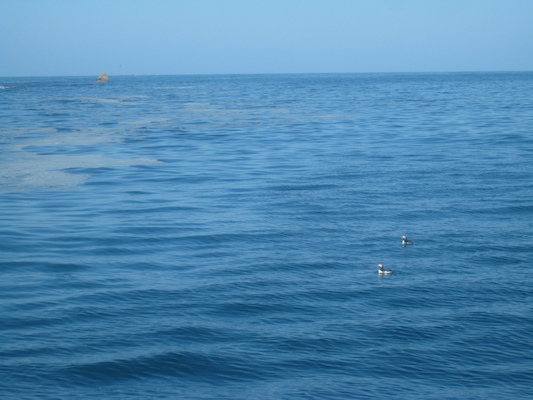 IMG_0026 (07-06-2013 05:41)