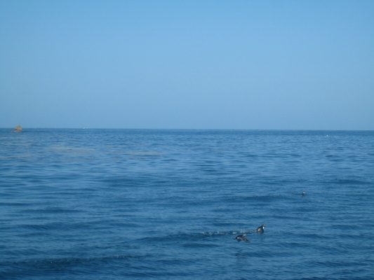 IMG_0027 (07-06-2013 05:41)