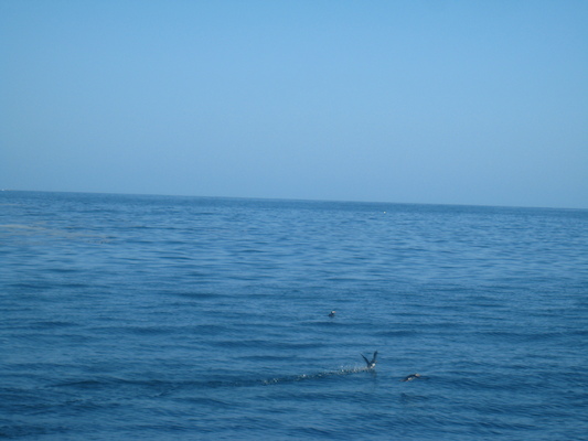 IMG_0028 (07-06-2013 05:41)