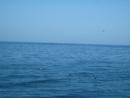 IMG_0029 (07-06-2013 05:41)