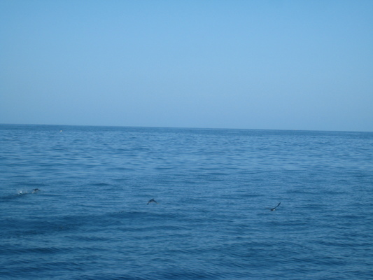 IMG_0030 (07-06-2013 05:41)