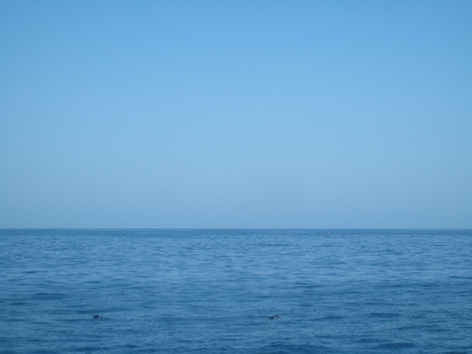 IMG_0031 (07-06-2013 05:41)