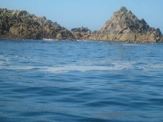 IMG_0033 (07-06-2013 05:42)