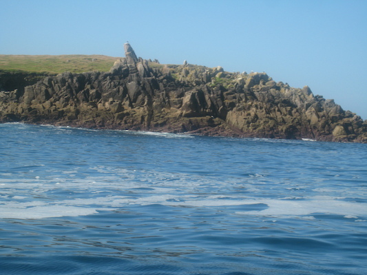 IMG_0035 (07-06-2013 05:42)