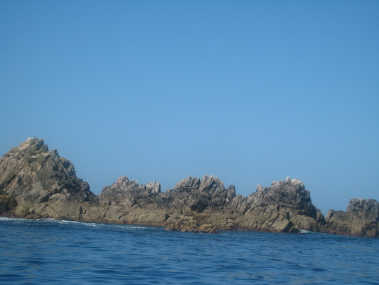 IMG_0037 (07-06-2013 05:43)