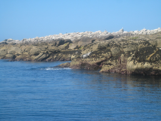 IMG_0042 (07-06-2013 06:04)