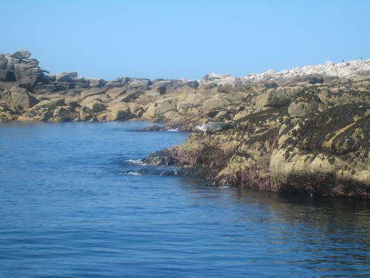 IMG_0043 (07-06-2013 06:04)