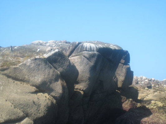 IMG_0044 (07-06-2013 06:04)