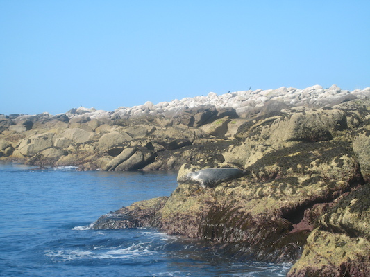 IMG_0046 (07-06-2013 06:06)