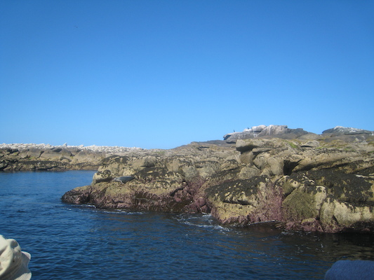 IMG_0047 (07-06-2013 06:07)