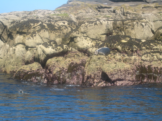 IMG_0049 (07-06-2013 06:07)