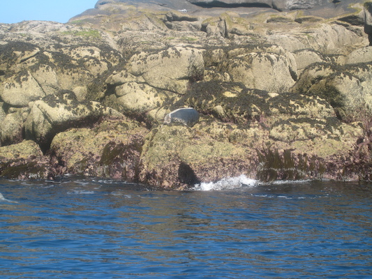 IMG_0050 (07-06-2013 06:07)