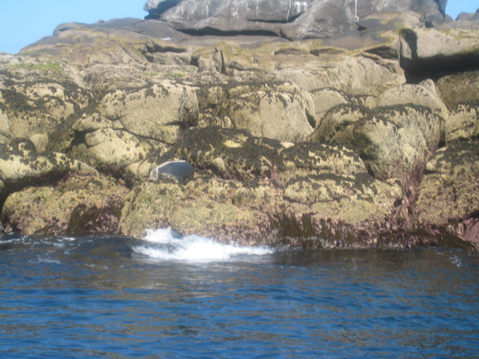 IMG_0051 (07-06-2013 06:07)