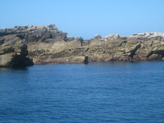 IMG_0052 (07-06-2013 06:09)