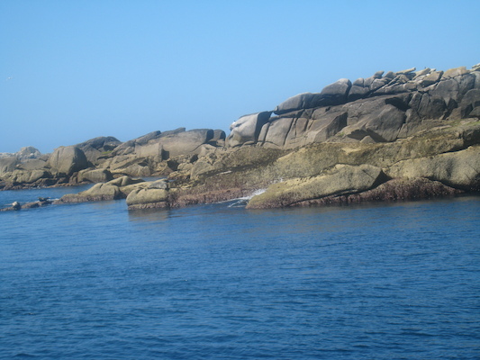 IMG_0053 (07-06-2013 06:09)