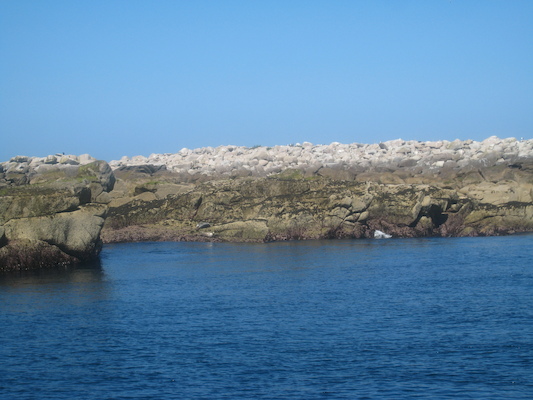 IMG_0054 (07-06-2013 06:09)