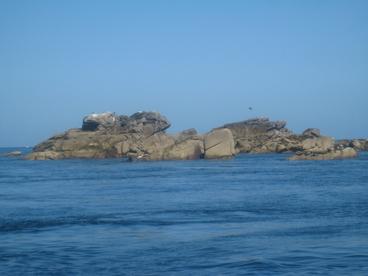 IMG_0055 (07-06-2013 06:11)