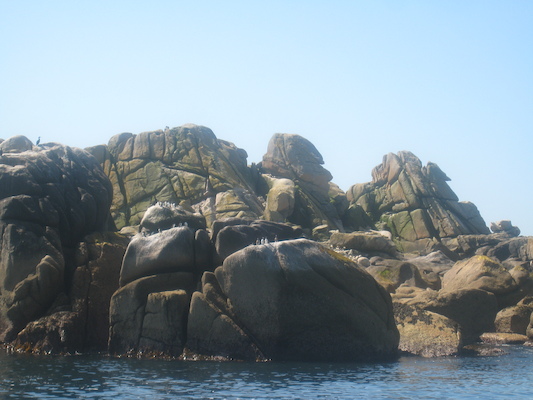 IMG_0056 (07-06-2013 06:17)