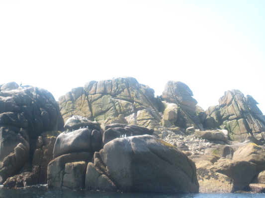 IMG_0057 (07-06-2013 06:17)