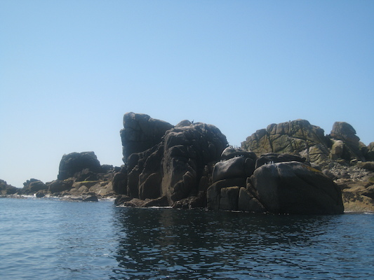 IMG_0058 (07-06-2013 06:17)