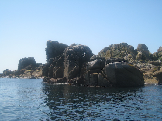 IMG_0059 (07-06-2013 06:17)