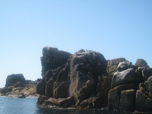 IMG_0060 (07-06-2013 06:18)