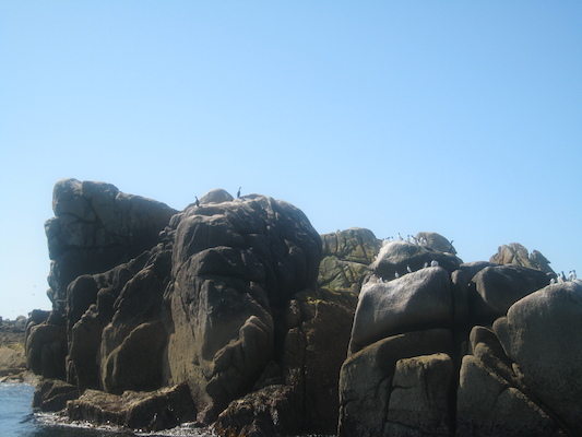 IMG_0061 (07-06-2013 06:18)