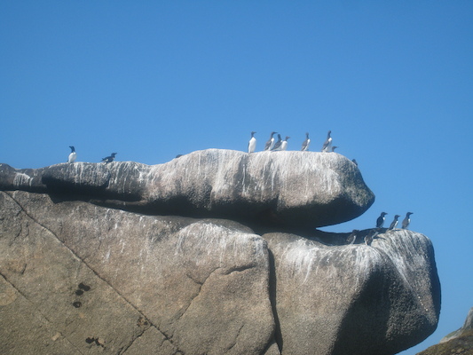 IMG_0062 (07-06-2013 06:19)