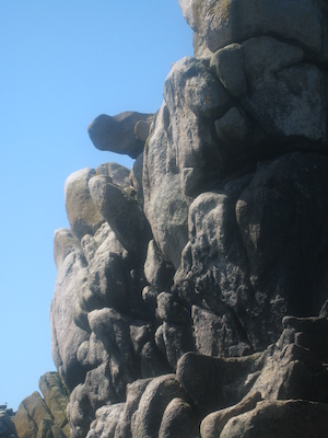 IMG_0063 (07-06-2013 06:19)