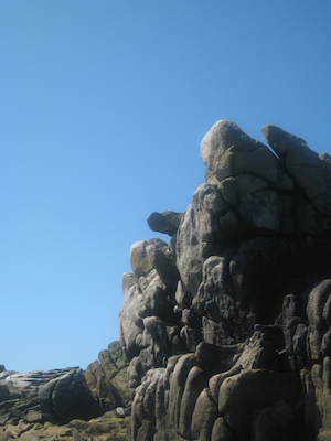 IMG_0065 (07-06-2013 06:19)