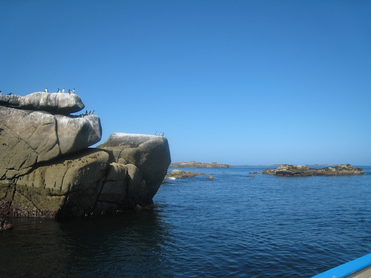 IMG_0066 (07-06-2013 06:20)