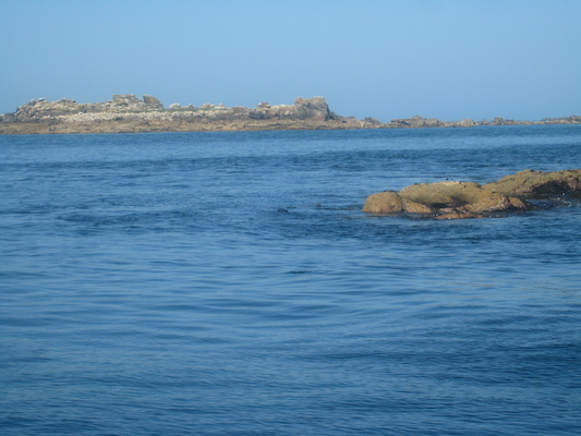 IMG_0067 (07-06-2013 06:24)