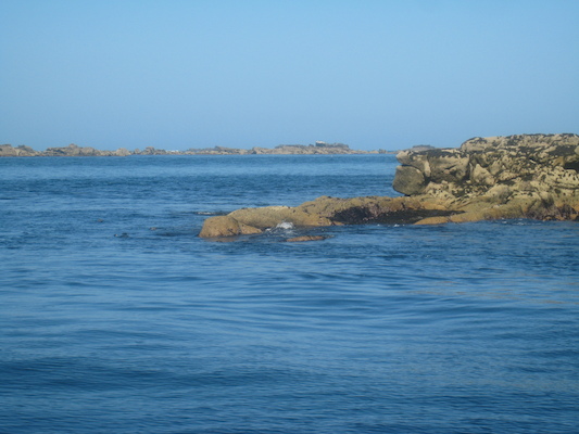 IMG_0068 (07-06-2013 06:24)