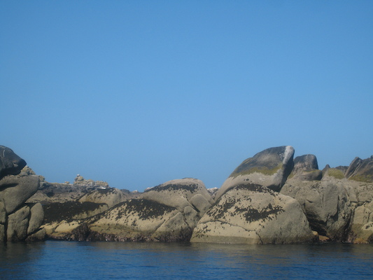 IMG_0069 (07-06-2013 06:26)