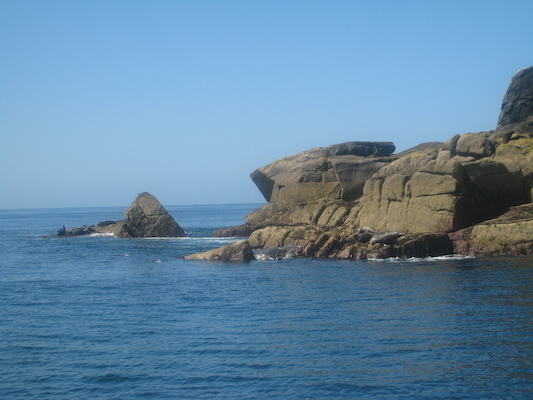 IMG_0070 (07-06-2013 06:26)