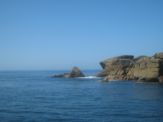 IMG_0071 (07-06-2013 06:26)