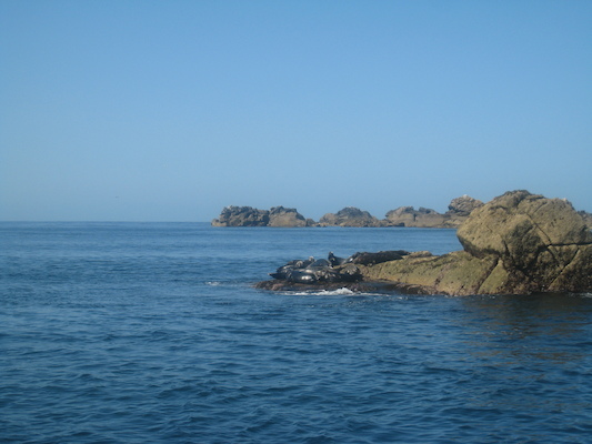 IMG_0072 (07-06-2013 06:27)