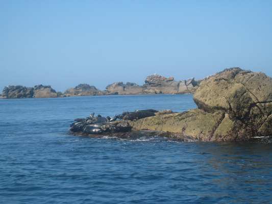 IMG_0073 (07-06-2013 06:27)